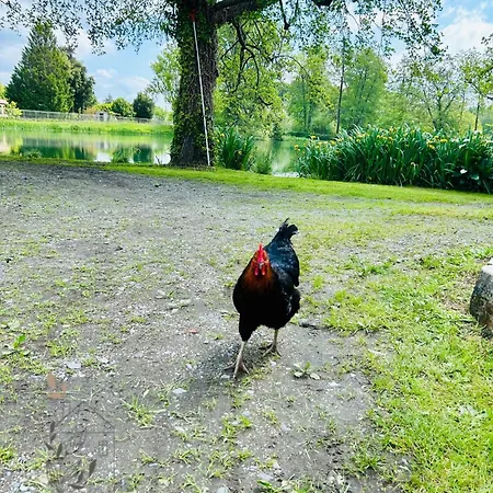 Appartement Maisonnette Du Lac - 40M2 Climatise Et Son Jardin Prive Proche Bordeaux