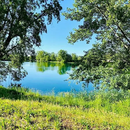 Maison Avec Acces Au 아파트 Izon