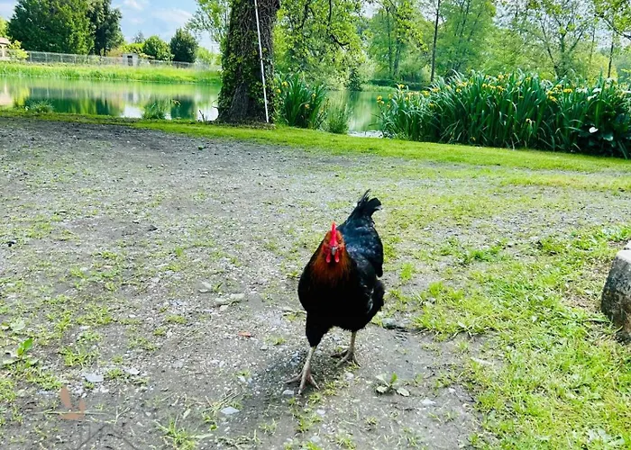 Apartment Maison Avec Acces Au